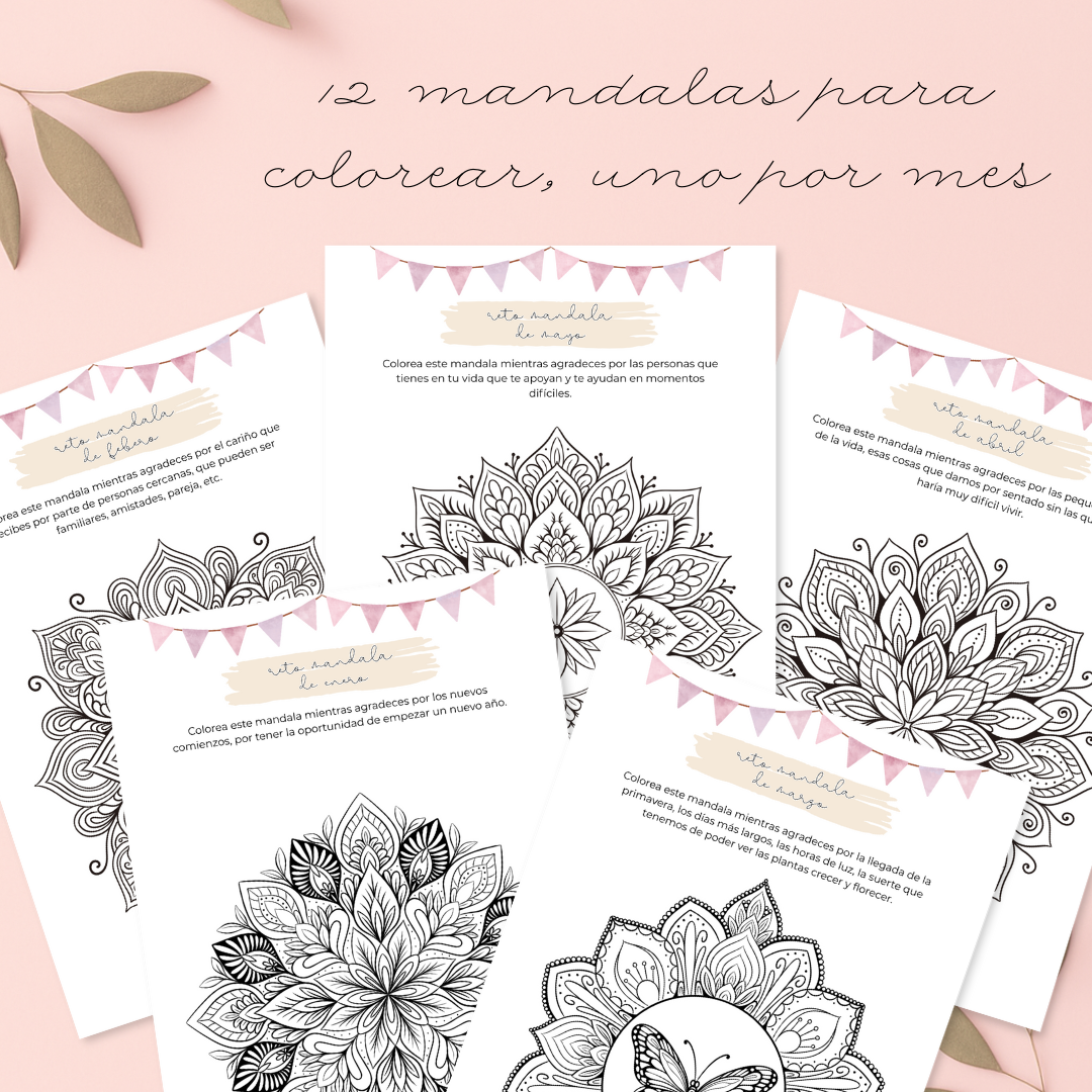 Dosier "Mi diario de gratitud 2026" - Imagen 5