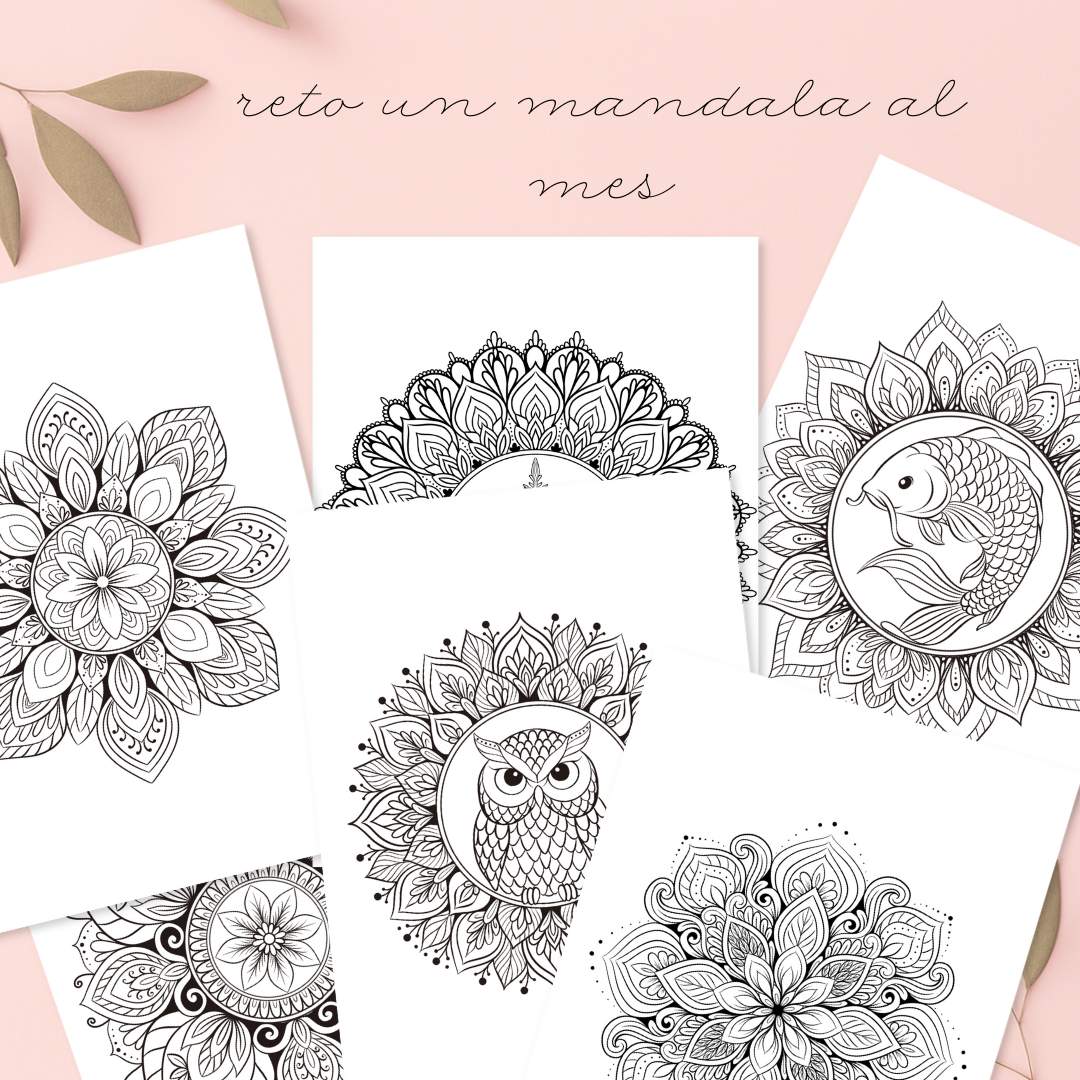 Dosier "Colorea Mandalas" - Imagen 3